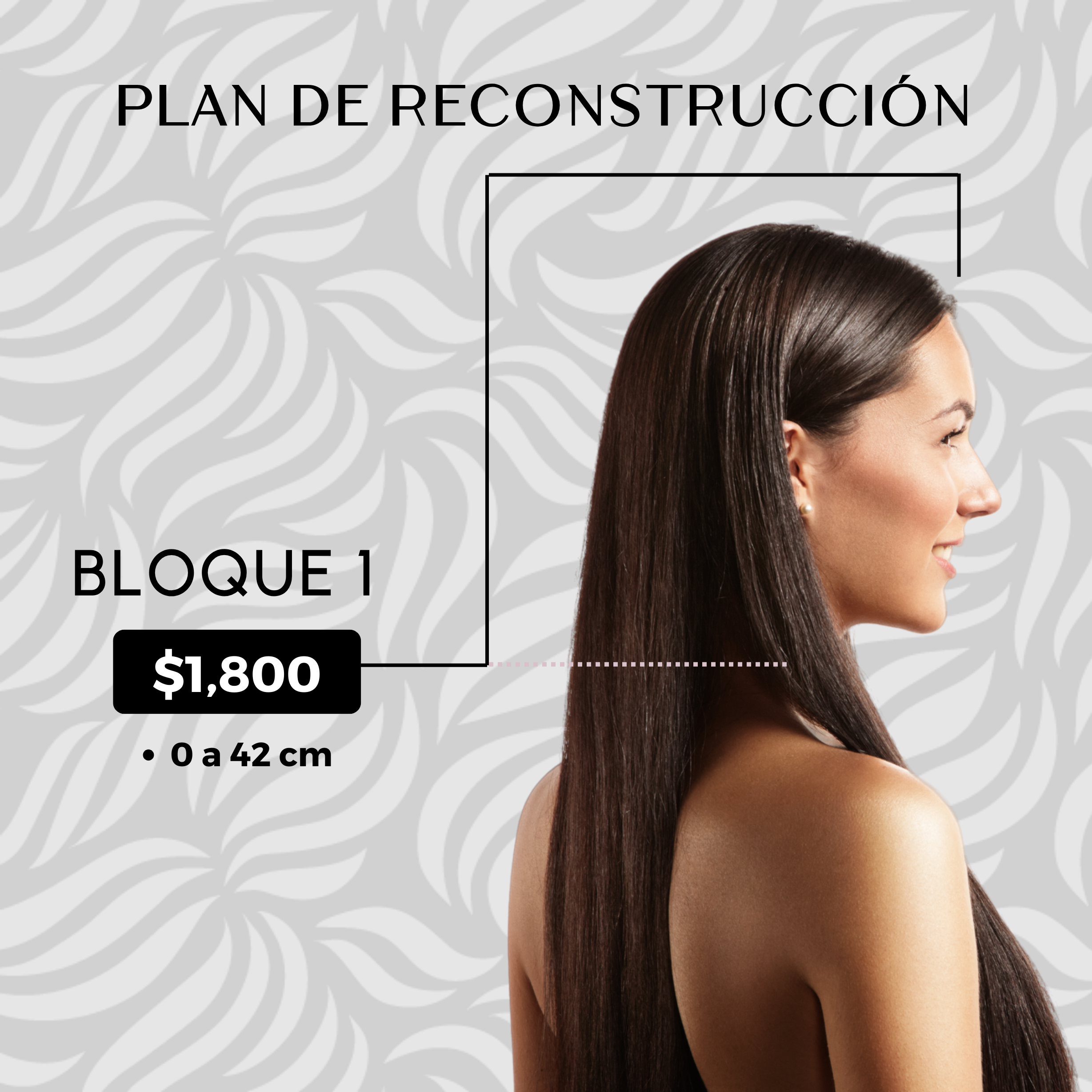 PLAN DE RECONSTRUCCION CAPILAR B1