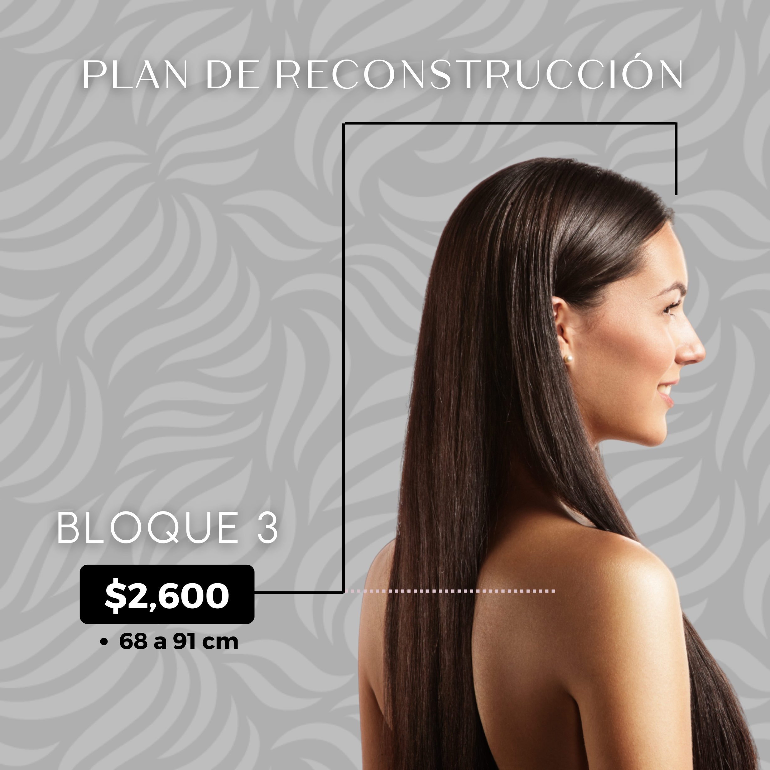PLAN DE RECONSTRUCCION CAPILAR B3